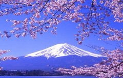 日本翻譯導(dǎo)游水平低，中文不過關(guān)